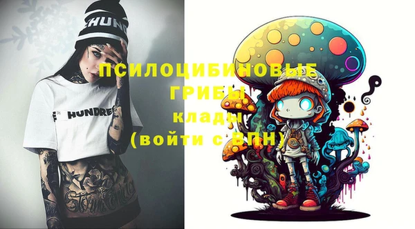 шишки Абинск