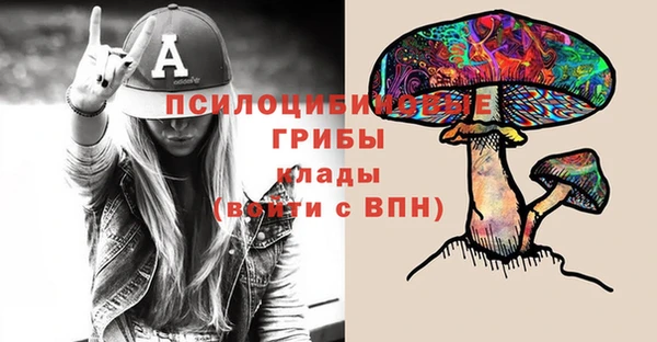 ГАЛЛЮЦИНОГЕННЫЕ ГРИБЫ Алексин