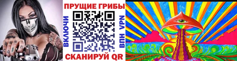 omg ссылка  Кремёнки  Галлюциногенные грибы ЛСД 