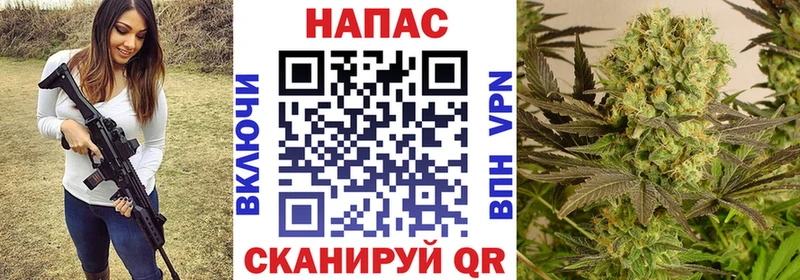 Бошки Шишки ГИДРОПОН  Кремёнки 